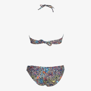 Arena WOMENS BIKINI TRIANGLE ALLOVER 