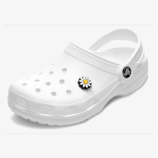 Crocs CROCS JIBBITZ / DAISY 