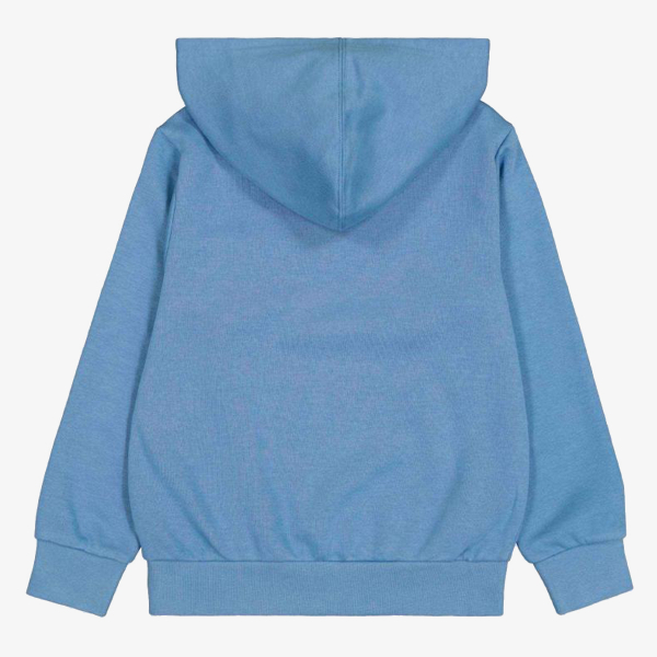 Champion Hoodded Sweatshirt 