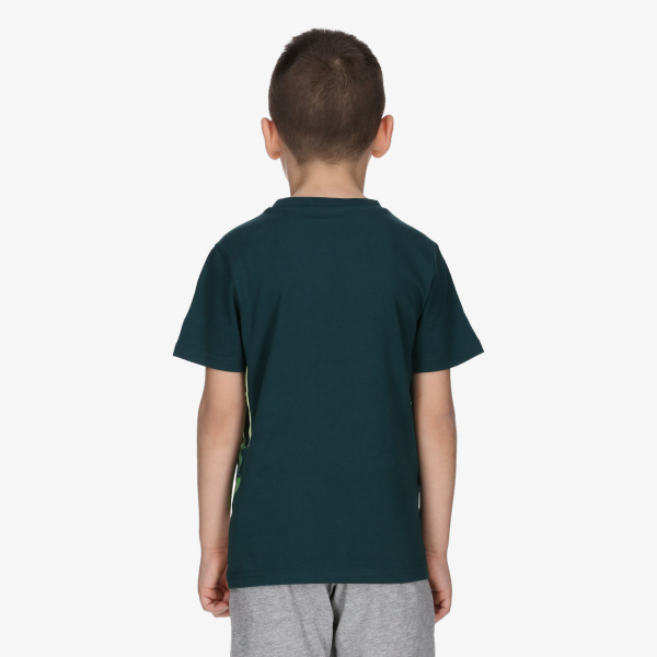 Champion CREWNECK T-SHIRT 