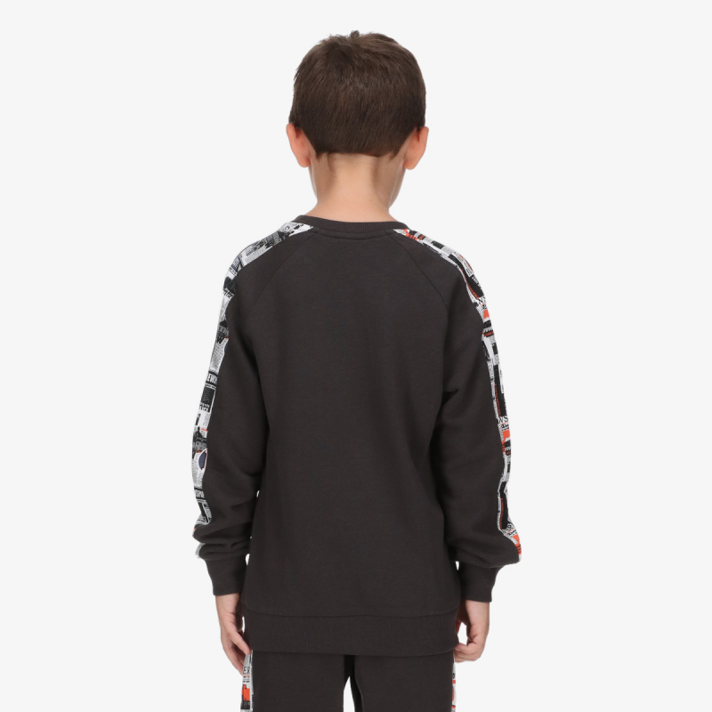 Champion CREWNECK SWEATSHIRT 