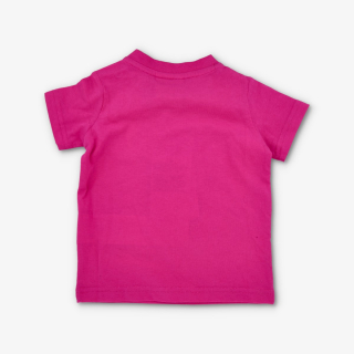 Champion SET 