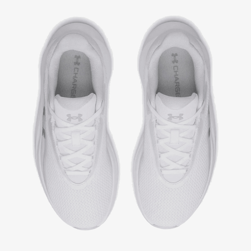 Under Armour UA W RADIANT TR 