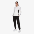 Puma PUMA HOODED SWEAT SUIT TR CL 