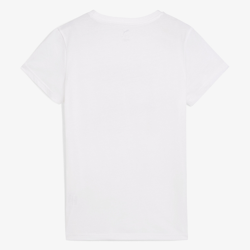Puma PUMA GRAPHICS MOUNTAIN TEE 