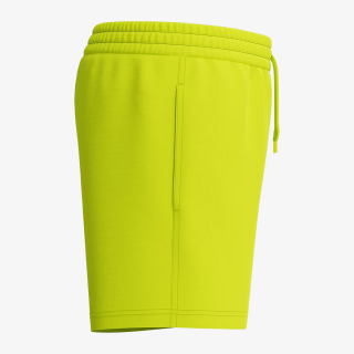 Speedo Classic 