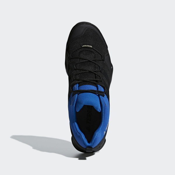 adidas OBUCA-CIPELE-TERREX AX2R GTX 