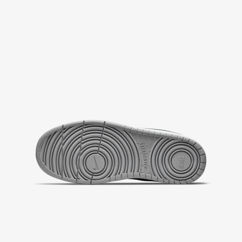 Nike Court Borough Low 2 SE 