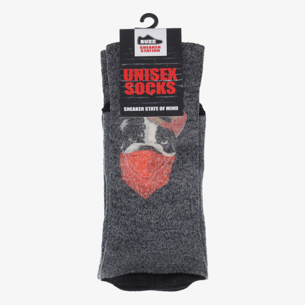 Buzz BULLDOG SOCKS-PAK 