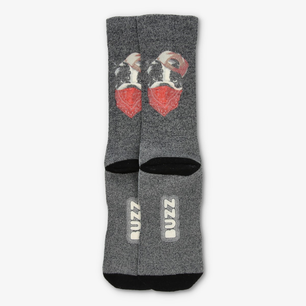 Buzz BULLDOG SOCKS-PAK 