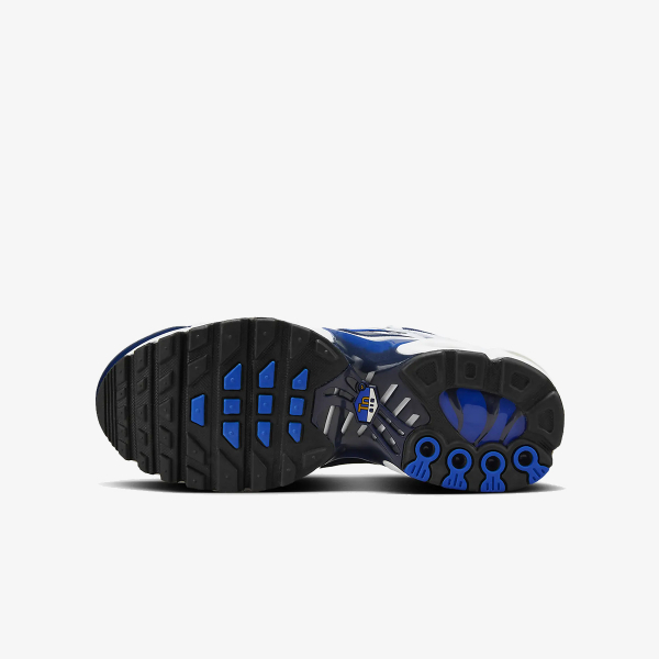 Nike AIR MAX PLUS BG 