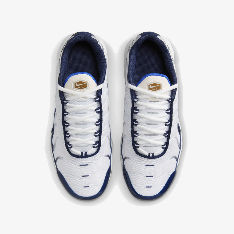 Nike AIR MAX PLUS BG 