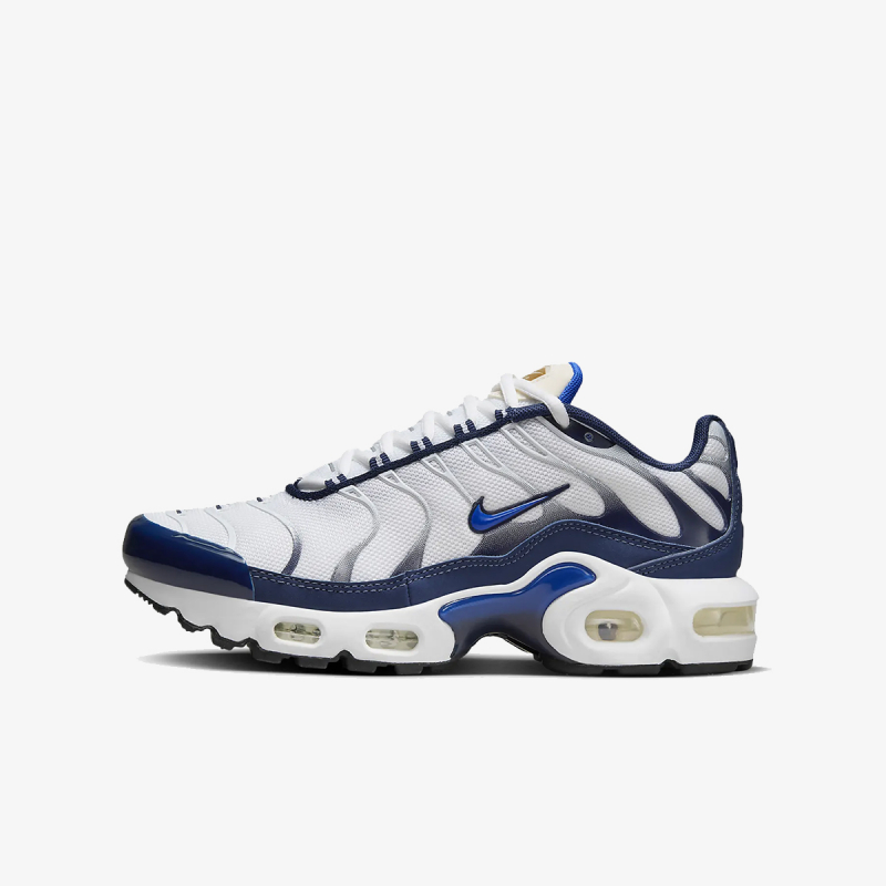Nike AIR MAX PLUS BG 