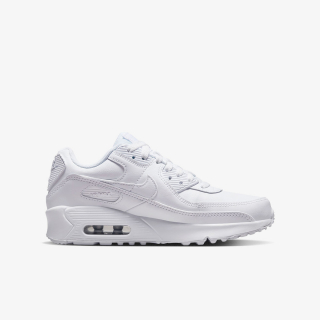 Nike Air Max 90 LTR 