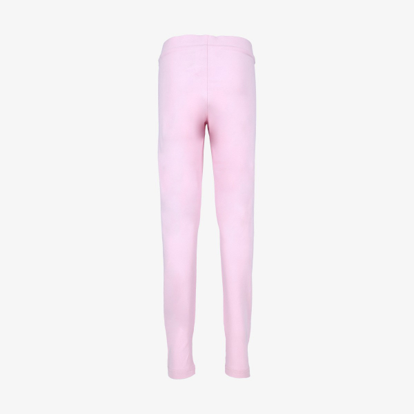 Champion Basic 