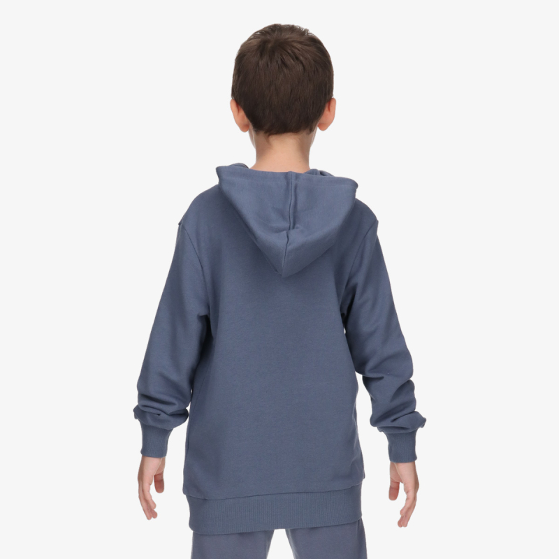 Champion CH BASIC HOODY 
