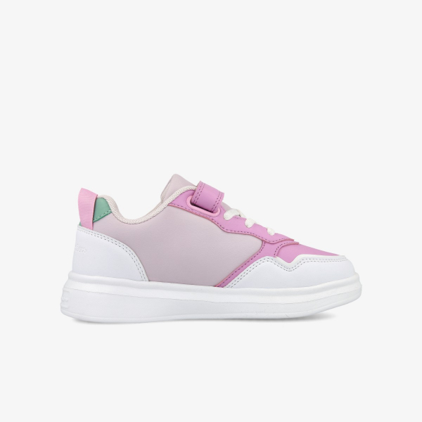 Champion Bloom 