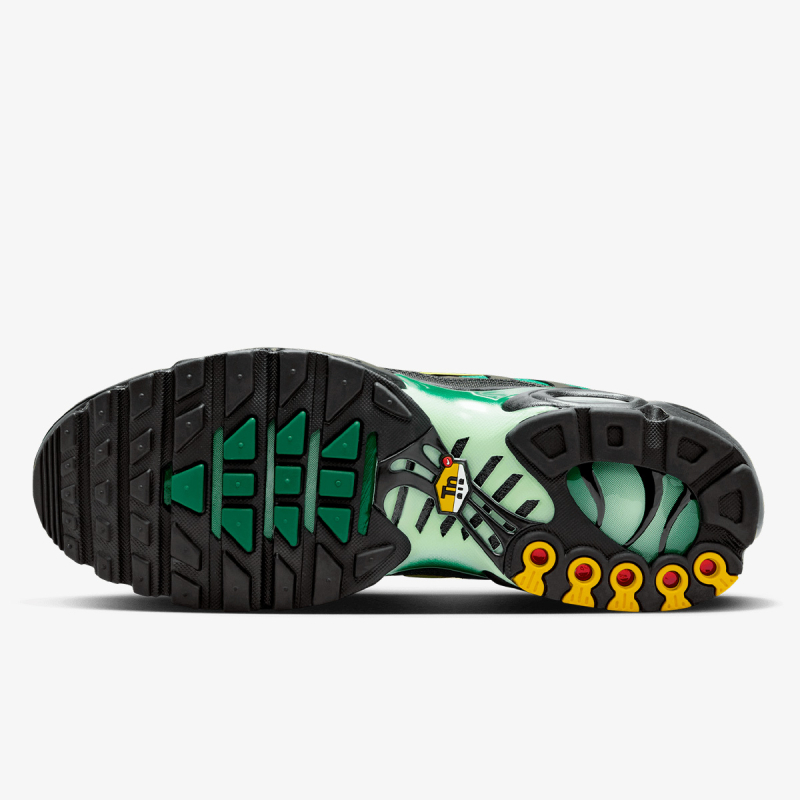 Nike NIKE AIR MAX PLUS OG 