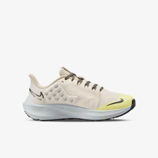 Nike Air Zoom Pegasus 39 Shield 