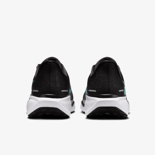 Pegasus 41 