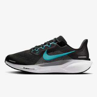 Pegasus 41 