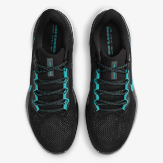 Pegasus 41 
