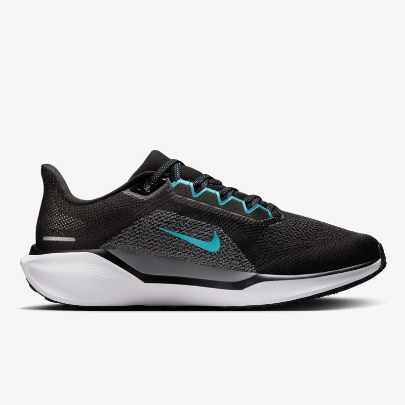 Pegasus 41 