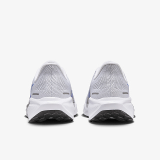 Pegasus 41 