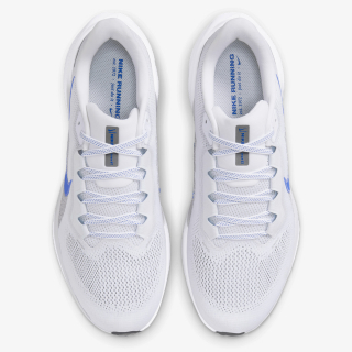 Pegasus 41 