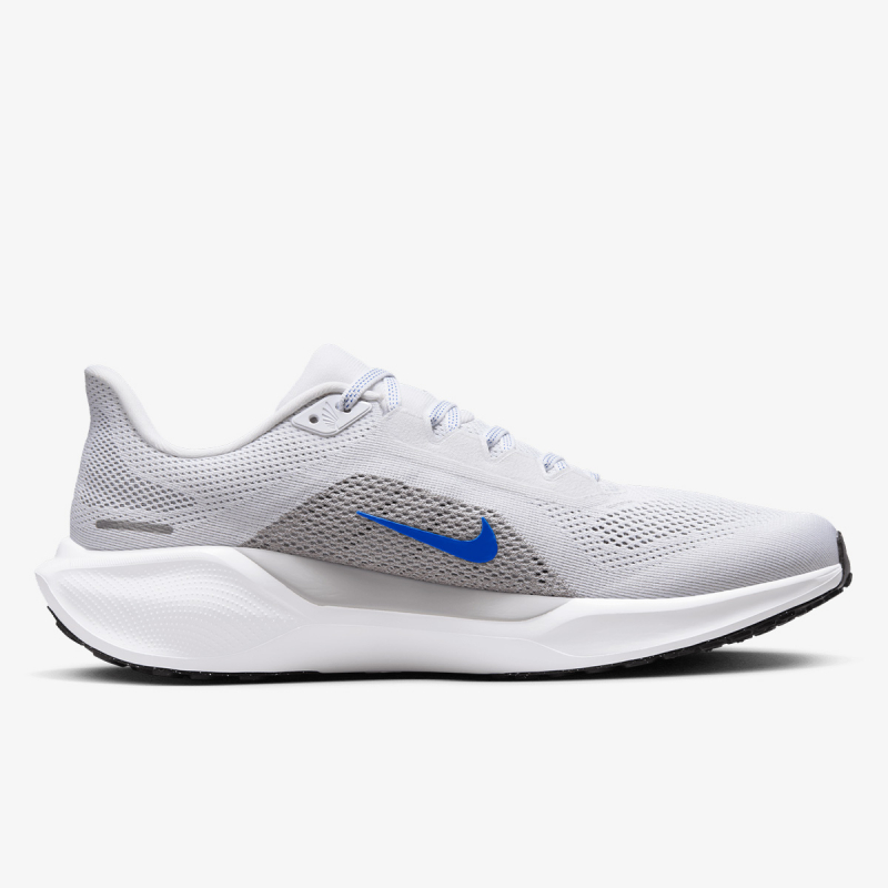 Pegasus 41 