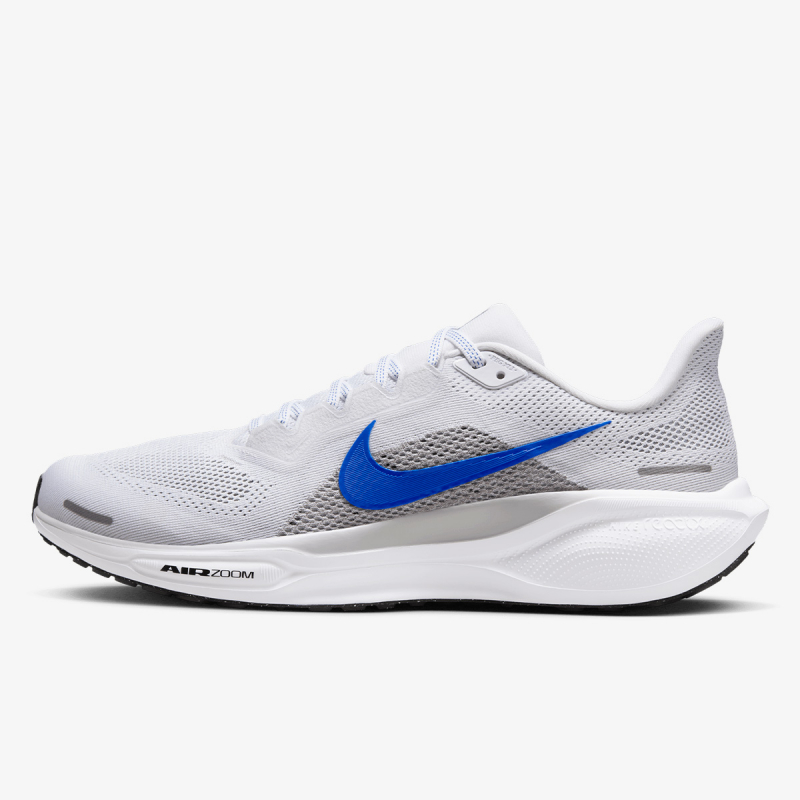 Pegasus 41 