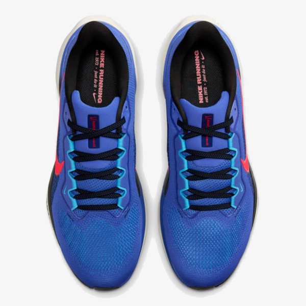 Nike Air Zoom Pegasus 41 