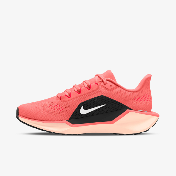 Pegasus 41 
