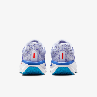 Nike Winflo 11 