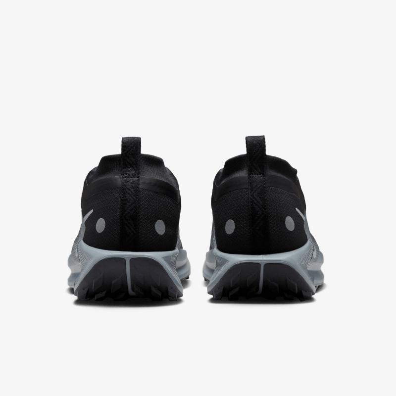 Nike Pegasus Trail 5 Gore-tex 