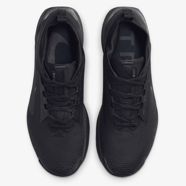 Nike Pegasus Trail 5 Gore-tex 