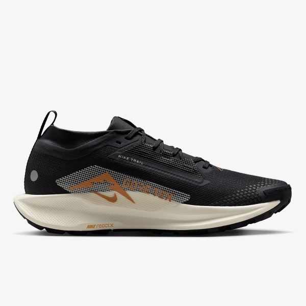Nike Pegasus Trail 5 Gore-tex 