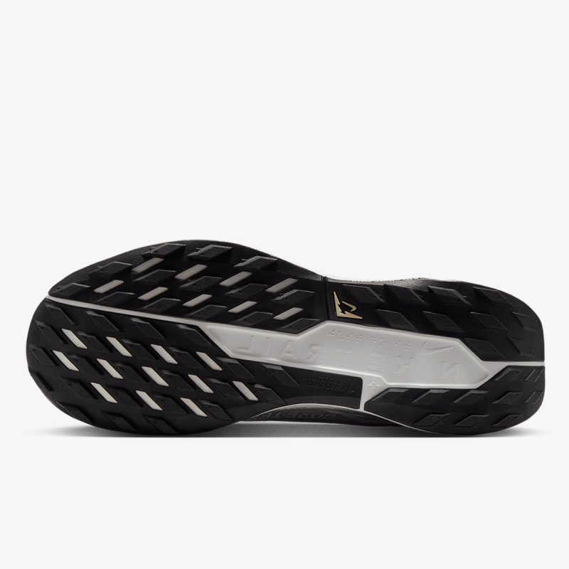 Nike NIKE PEGASUS TRAIL 5 GTX 