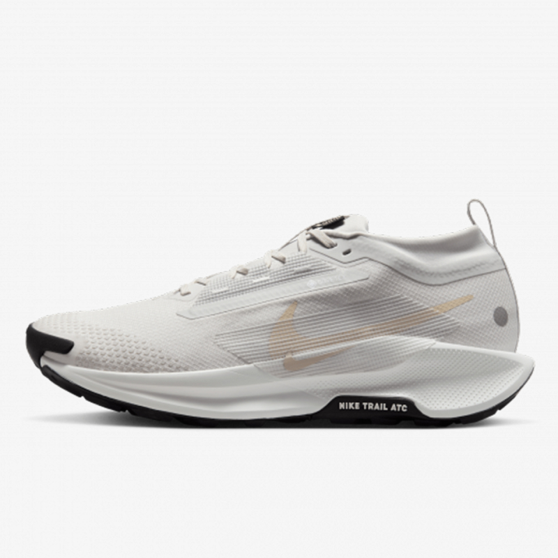 Nike NIKE PEGASUS TRAIL 5 GTX 