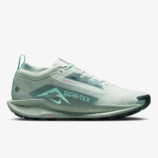 NIKE PEGASUS TRAIL 5 GTX 