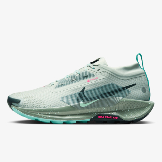 NIKE PEGASUS TRAIL 5 GTX 