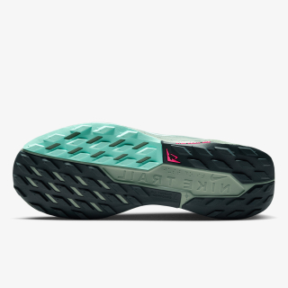 NIKE PEGASUS TRAIL 5 GTX 