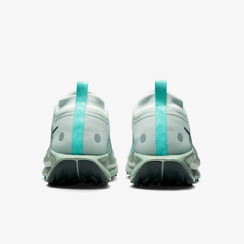 NIKE PEGASUS TRAIL 5 GTX 