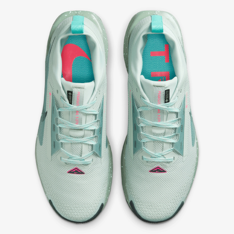 NIKE PEGASUS TRAIL 5 GTX 