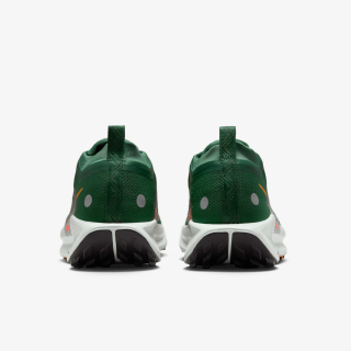 Nike Pegasus Trail 5 Gore-tex 