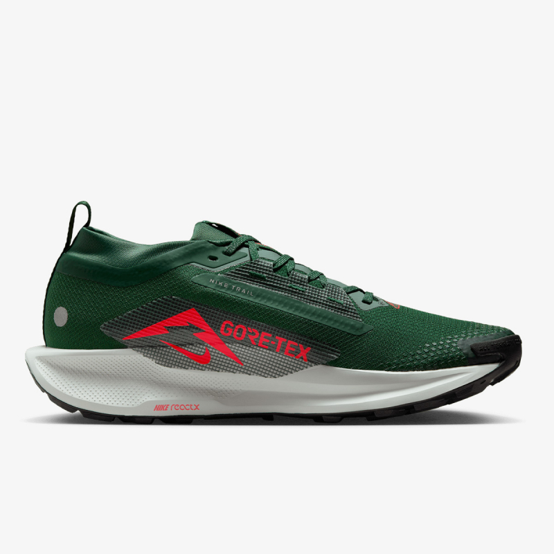 Nike Pegasus Trail 5 Gore-tex 