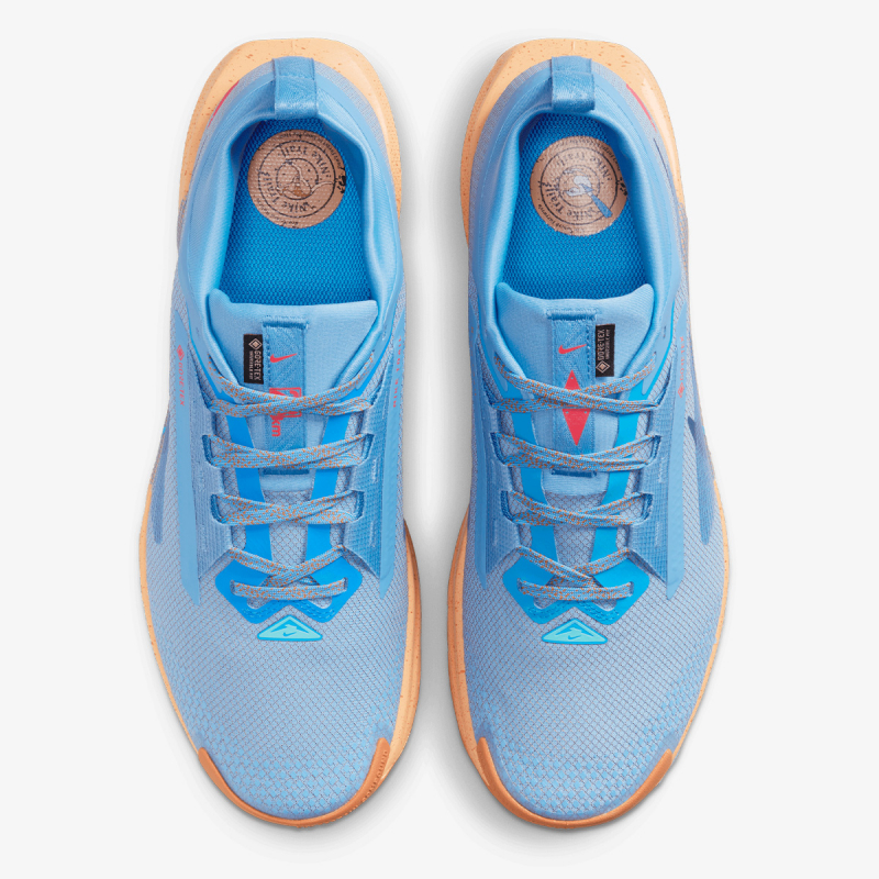 Nike NIKE PEGASUS TRAIL 5 GTX 
