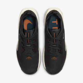 Nike Pegasus Trail 5 Gtx 