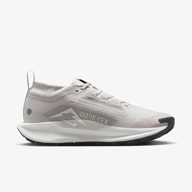 Nike W PEGASUS TRAIL 5 GTX 