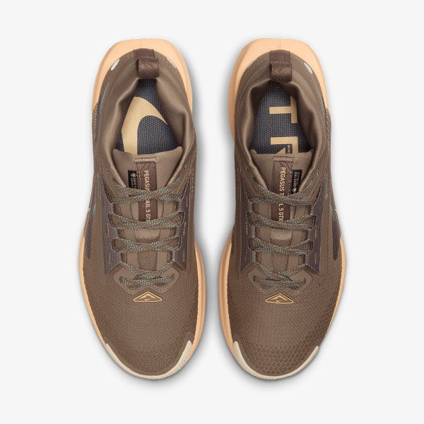 Nike Pegasus Trail 5 GTX 
